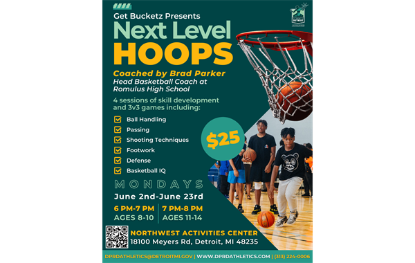 Next Level Hoops